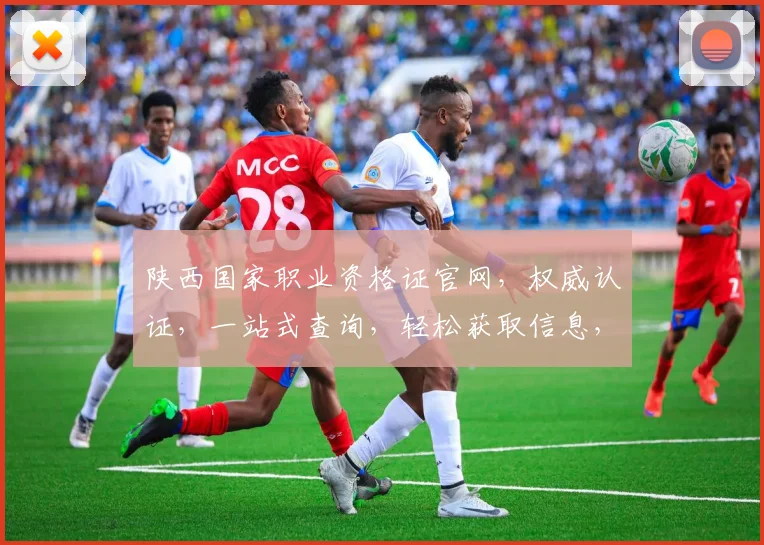 陕西国家职业资格证官网，权威认证，一站式查询，轻松获取信息，三步完成