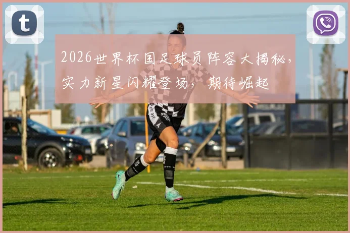 2026世界杯国足球员阵容大揭秘，实力新星闪耀登场，期待崛起