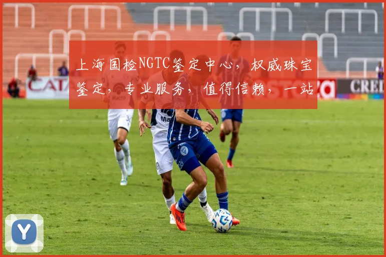 上海国检NGTC鉴定中心，权威珠宝鉴定，专业服务，值得信赖，一站式解决方案，助力珠宝行业。