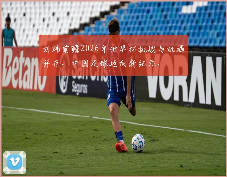 刘炜前瞻2026年世界杯挑战与机遇并存，中国足球迈向新纪元，