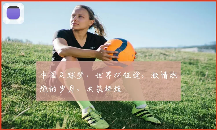中国足球梦，世界杯征途，激情燃烧的岁月，共筑辉煌
