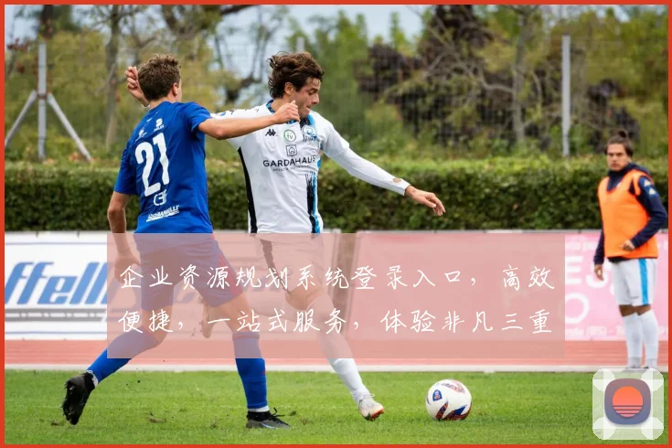 企业资源规划系统登录入口，高效便捷，一站式服务，体验非凡三重保障，登录即享